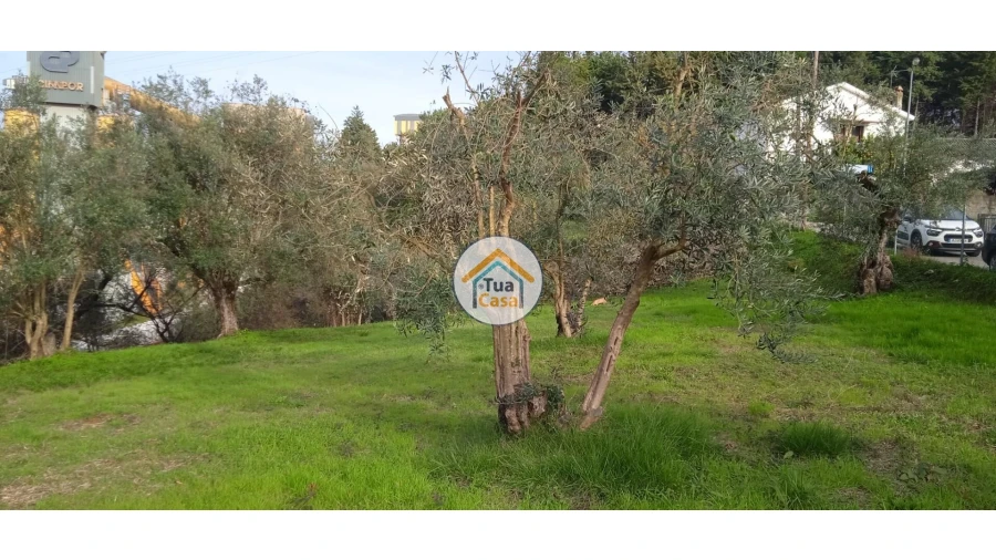 Terreno para Venda em Souselas e Botão Foto 12
