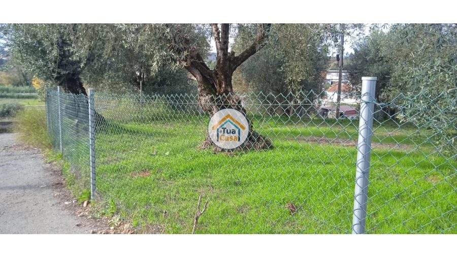 Terreno para Venda em Souselas e Botão Foto 3
