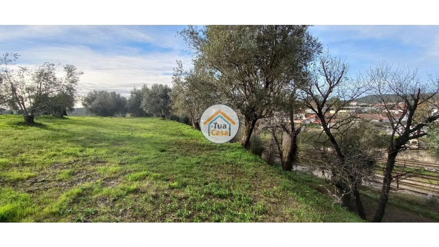 Terreno para Venda em Souselas e Botão Foto 8