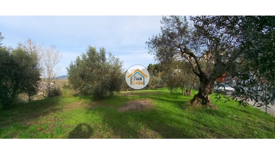 Terreno para Venda em Souselas e Botão Foto 2