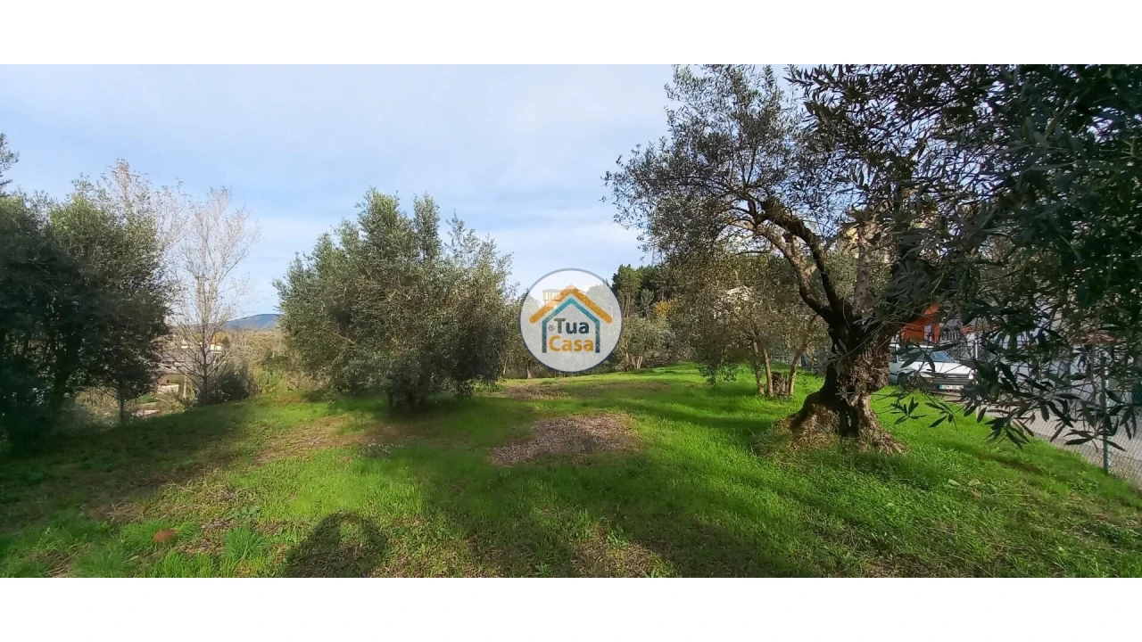 Terreno para Venda em Souselas e Botão Foto 2