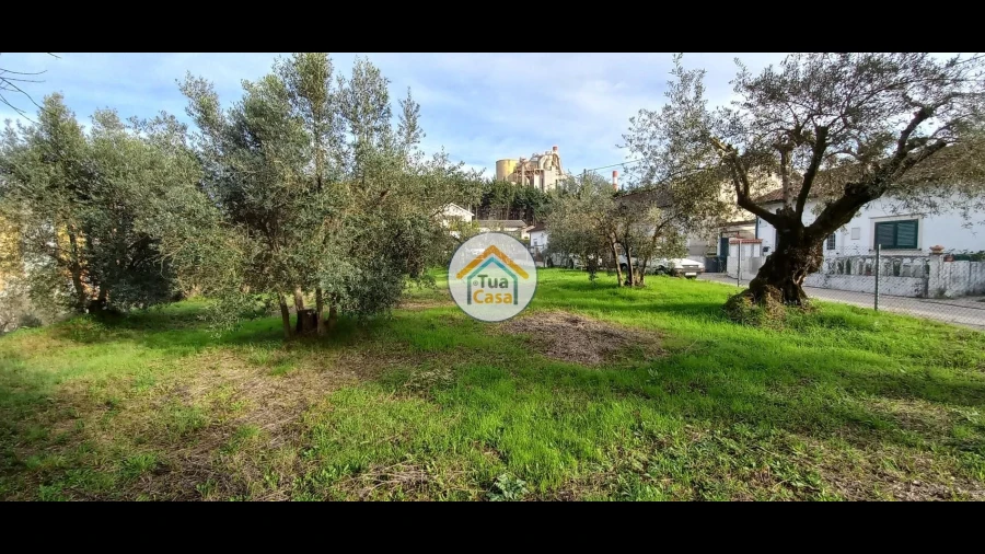 Terreno para Venda em Souselas e Botão