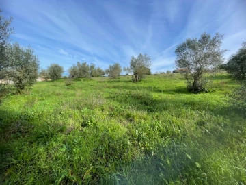 Terreno para Venda em São Pedro de Tomar