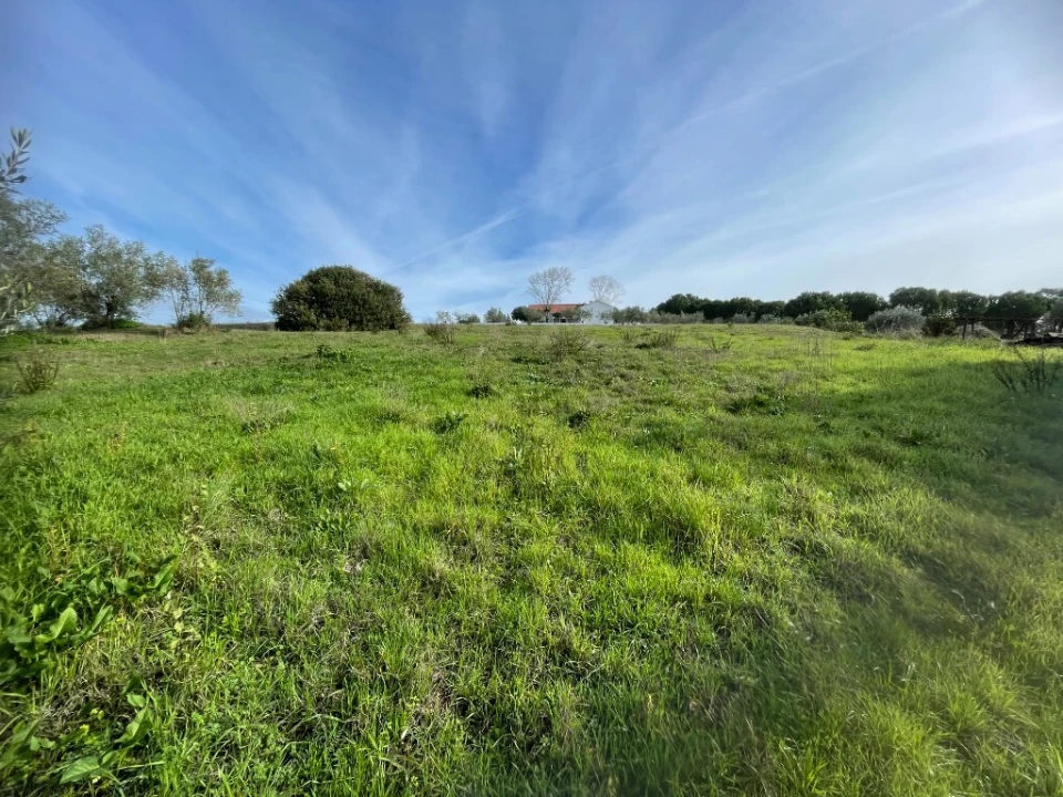 Terreno para Venda em São Pedro de Tomar Foto 1