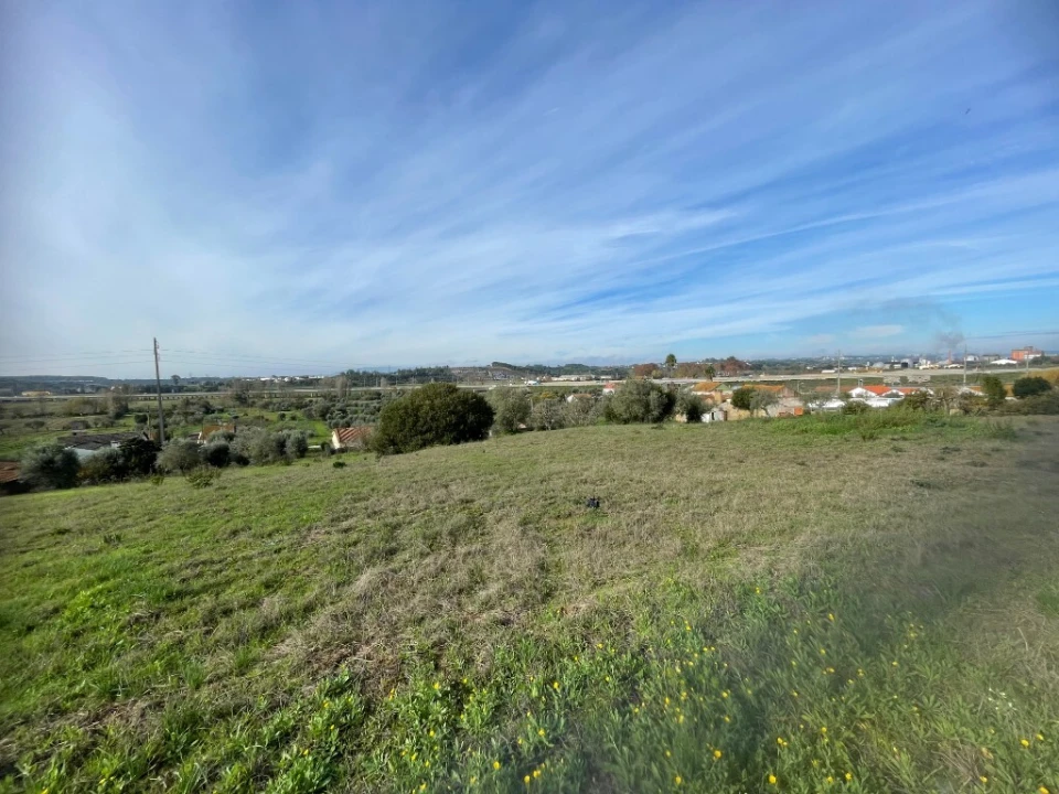 Terreno para Venda em São Pedro de Tomar Foto 3