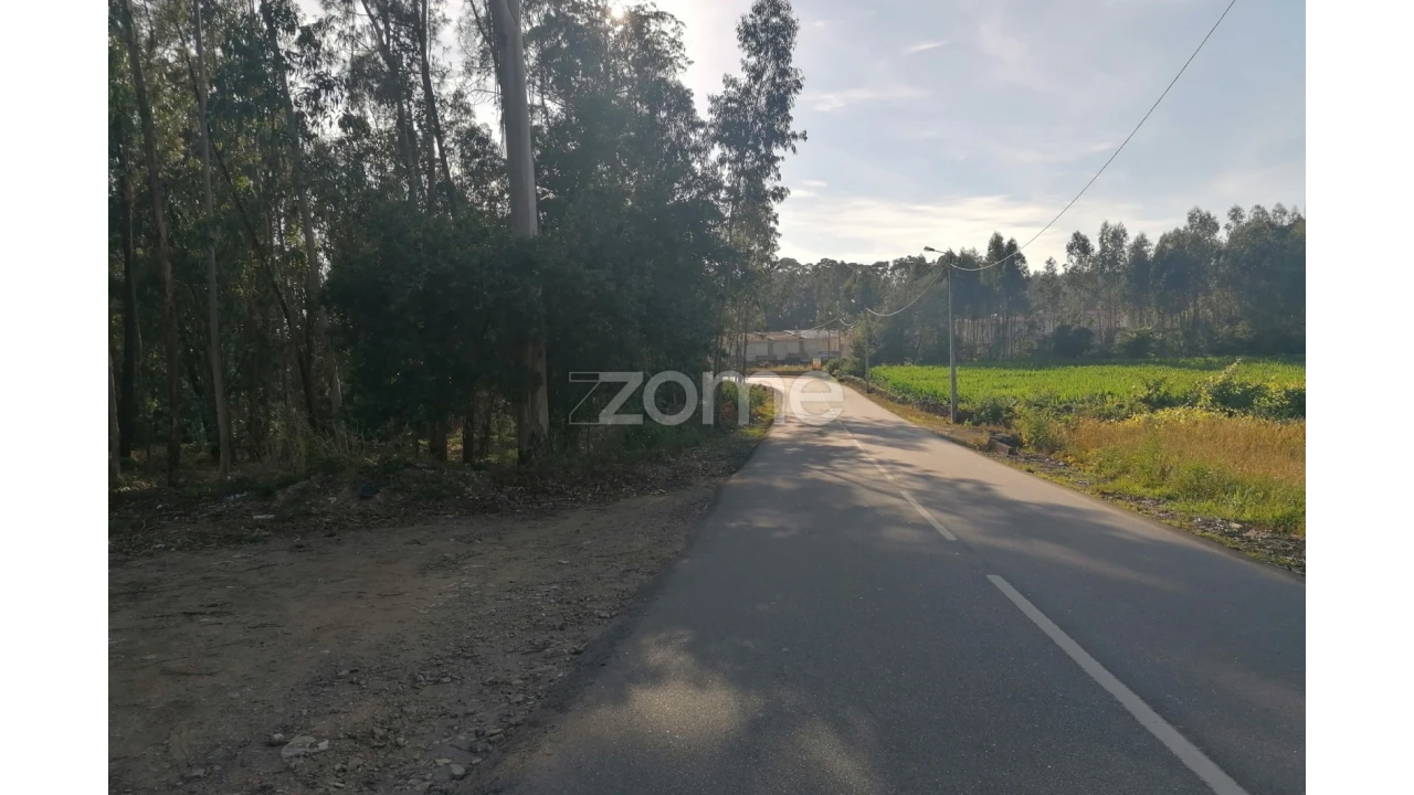 Terreno para Venda em Fradelos Foto 1