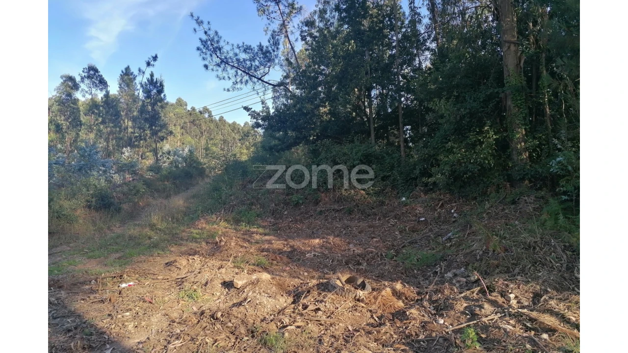 Terreno para Venda em Fradelos Foto 7