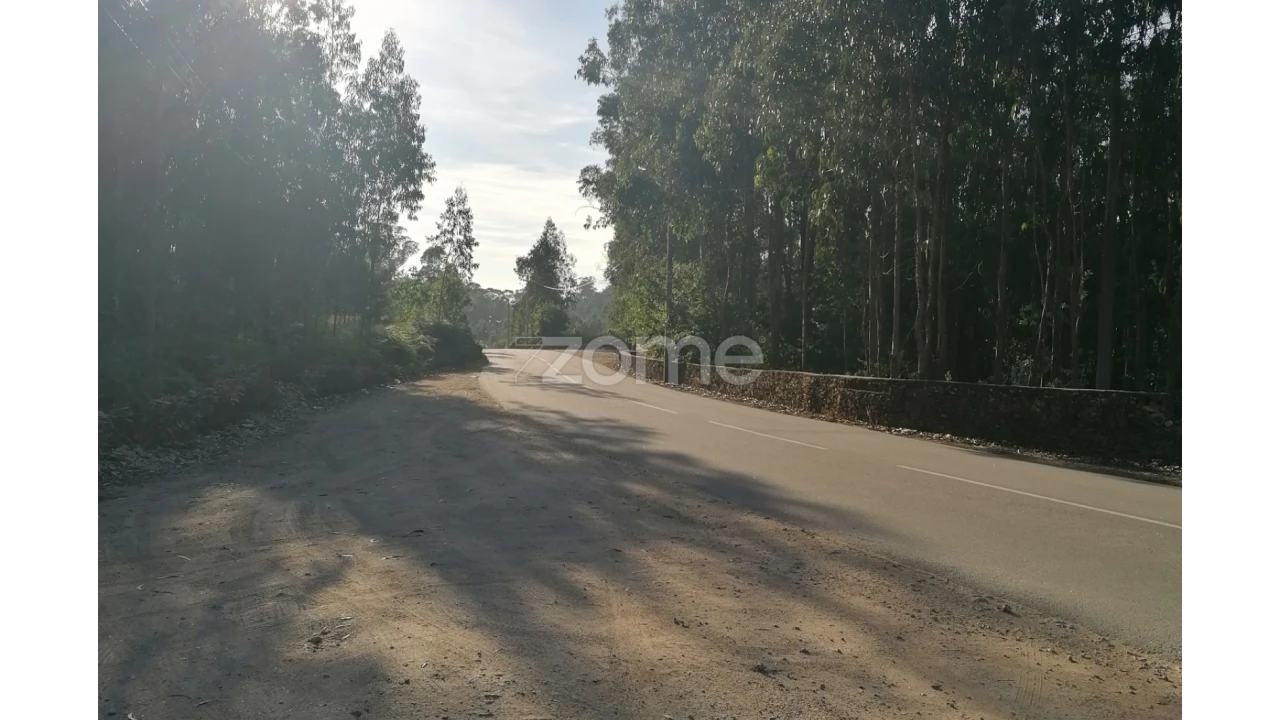 Terreno para Venda em Fradelos Foto 10