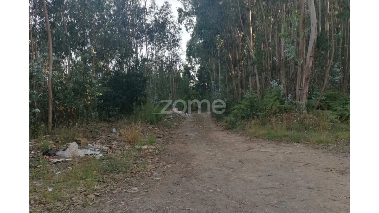 Terreno para Venda em Fradelos Foto 11