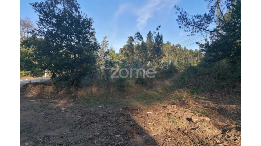 Terreno para Venda em Fradelos Foto 8