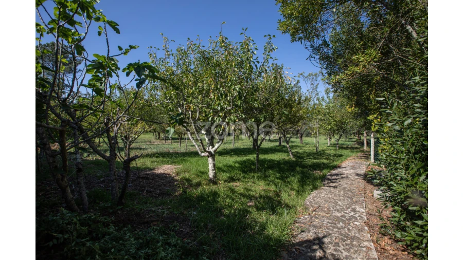 Quinta T6 para Venda em Poiares (Santo Andre) Foto 23
