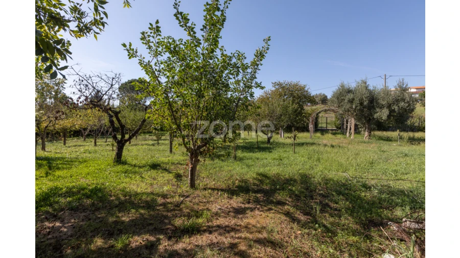 Quinta T6 para Venda em Poiares (Santo Andre) Foto 24