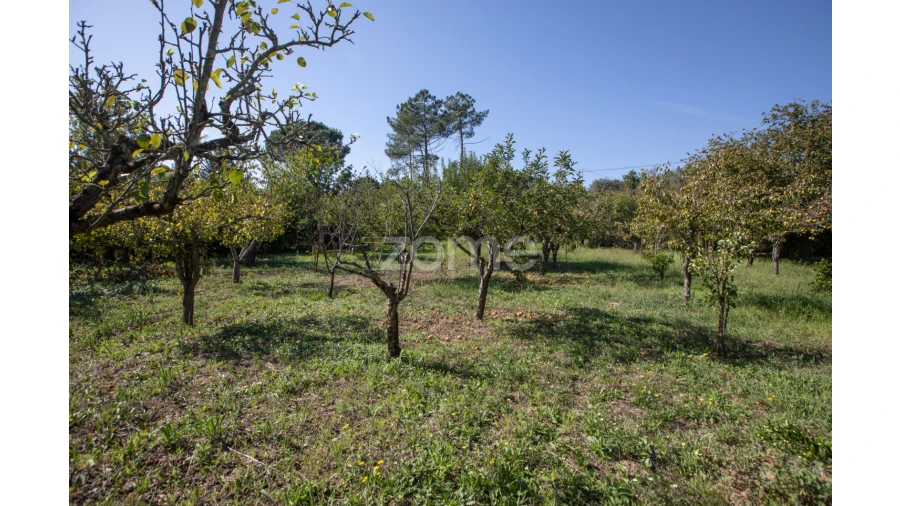 Quinta T6 para Venda em Poiares (Santo Andre) Foto 25