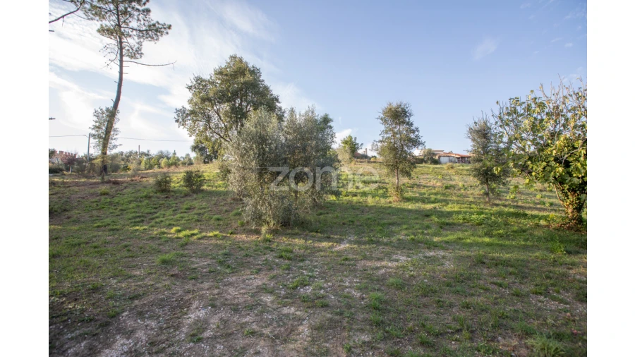 Quinta T6 para Venda em Poiares (Santo Andre) Foto 67