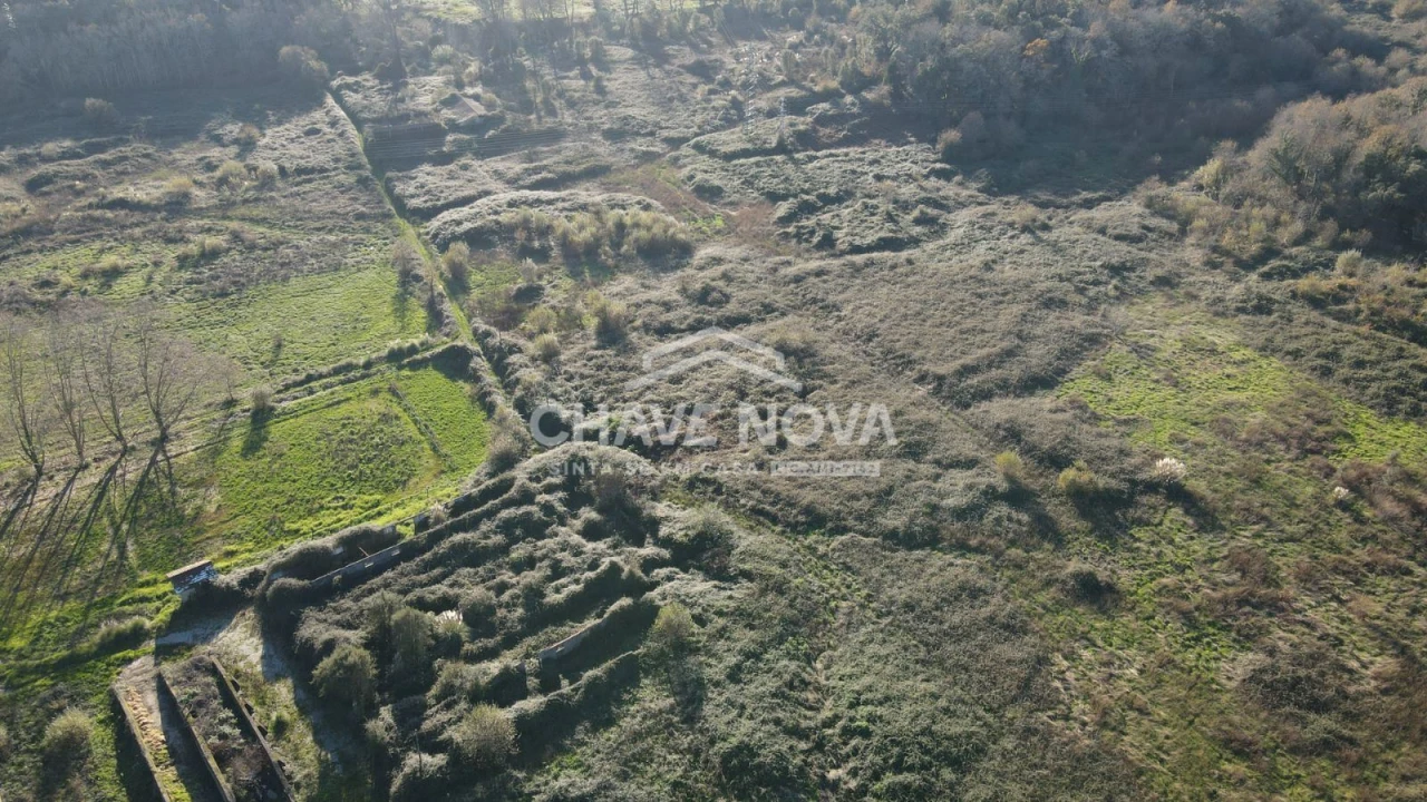 Quinta T0 para Venda em Arcozelo Foto 6