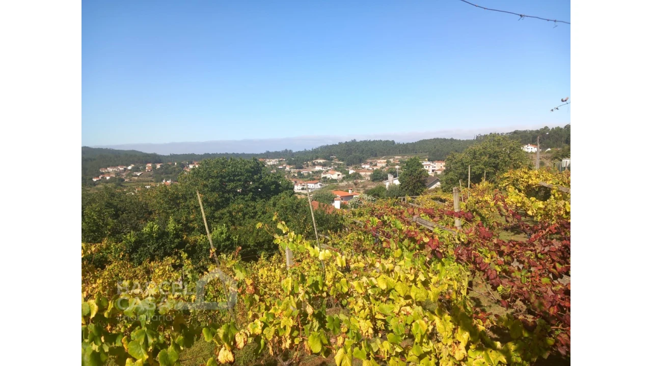 Quinta T4 para Venda em Palmeira de Faro e Curvos Foto 66