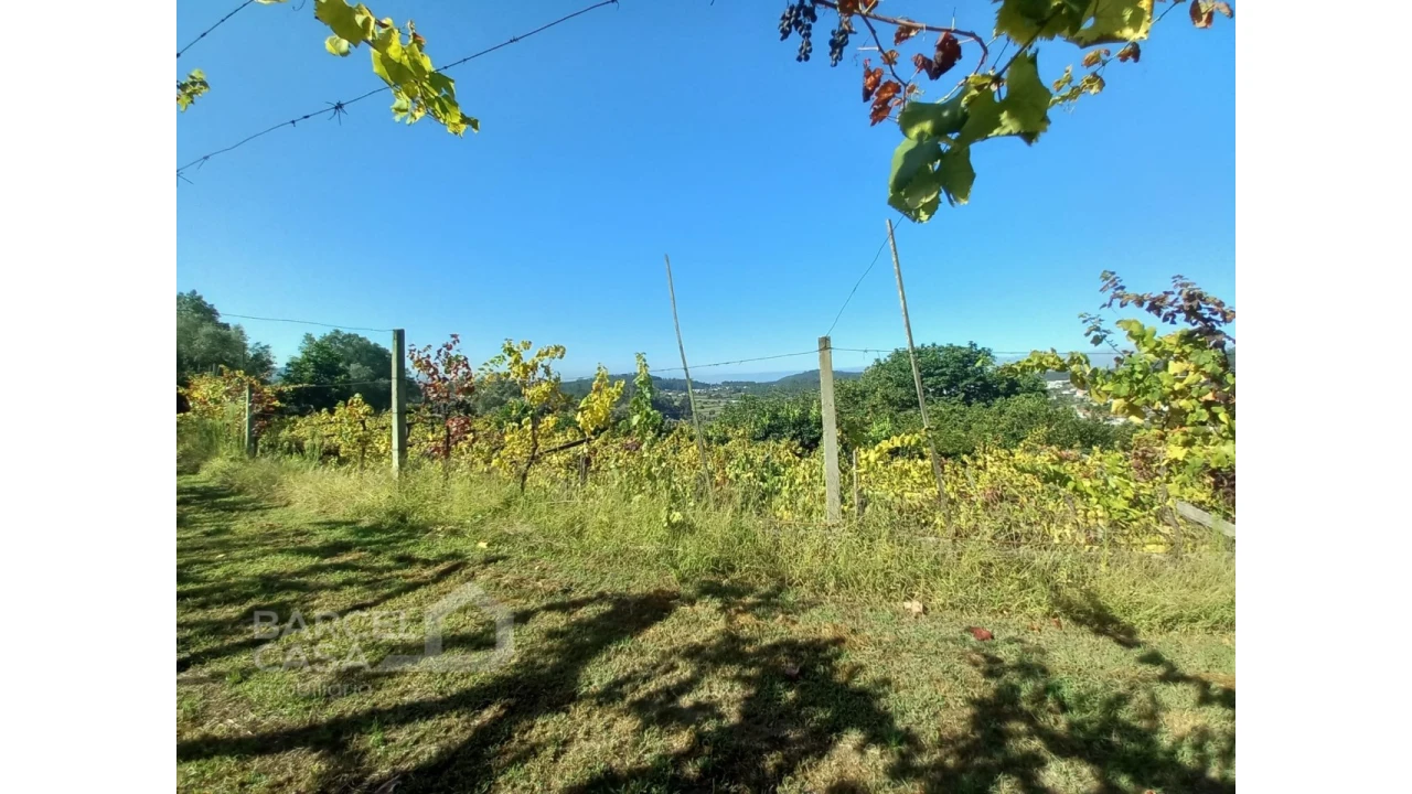 Quinta T4 para Venda em Palmeira de Faro e Curvos Foto 68