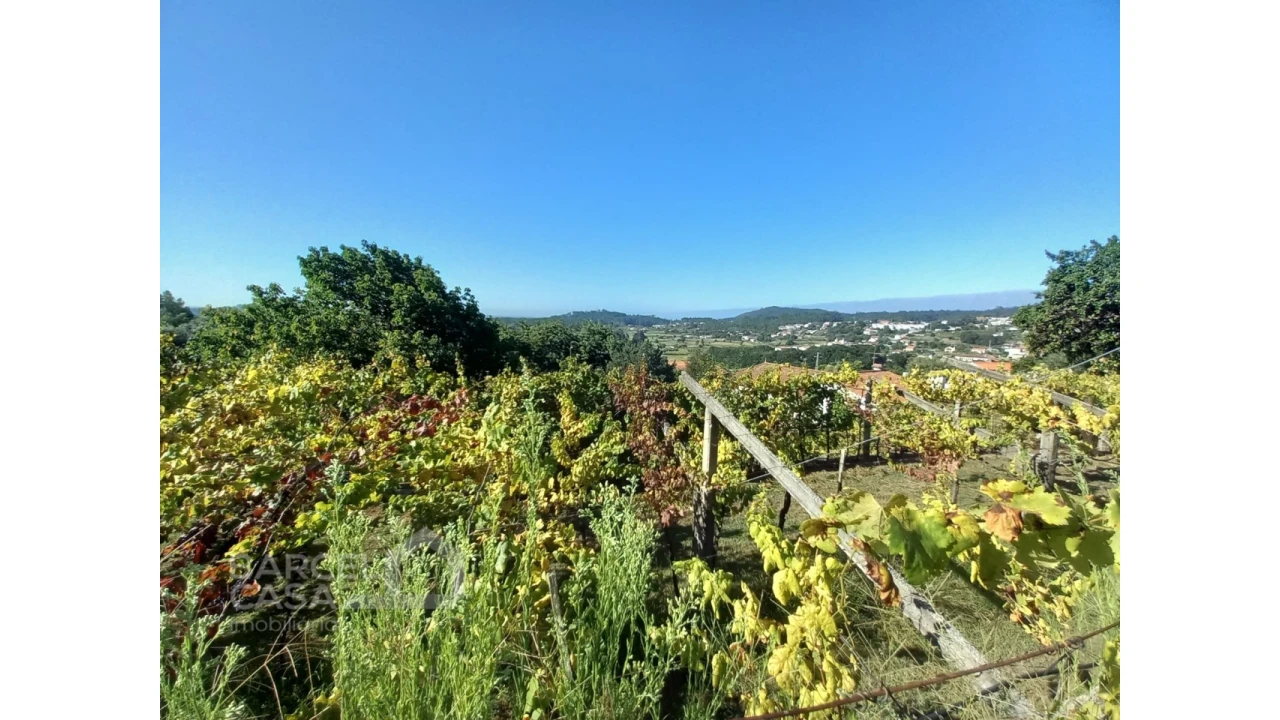 Quinta T4 para Venda em Palmeira de Faro e Curvos Foto 67