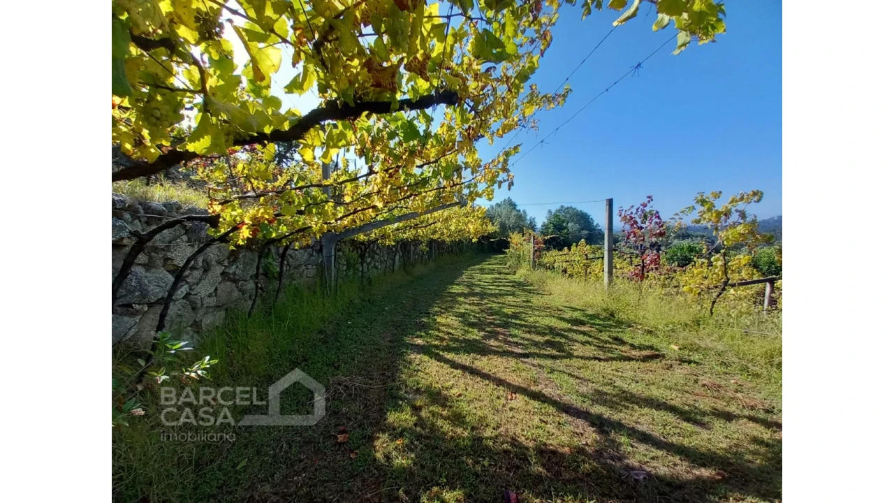 Quinta T4 para Venda em Palmeira de Faro e Curvos Foto 63
