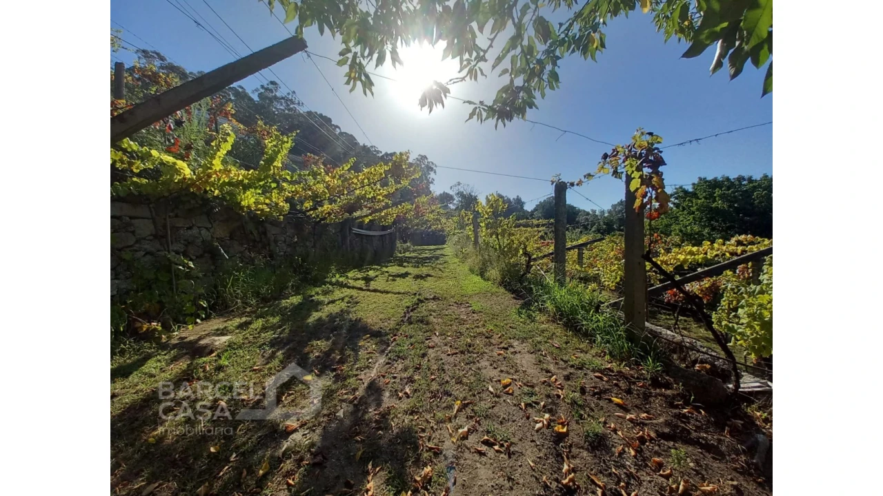 Quinta T4 para Venda em Palmeira de Faro e Curvos Foto 60
