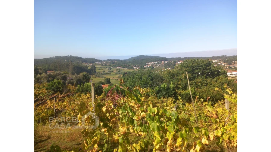 Quinta T4 para Venda em Palmeira de Faro e Curvos Foto 65