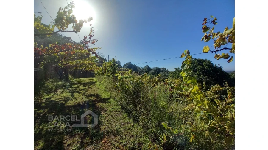 Quinta T4 para Venda em Palmeira de Faro e Curvos Foto 61