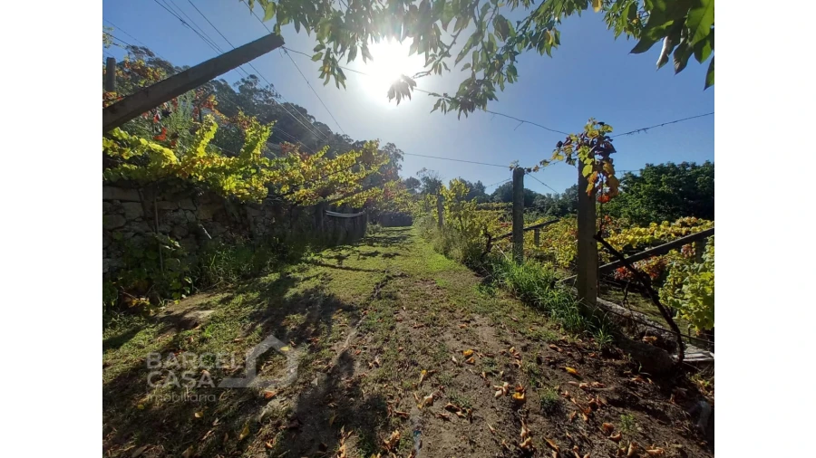 Quinta T4 para Venda em Palmeira de Faro e Curvos Foto 60
