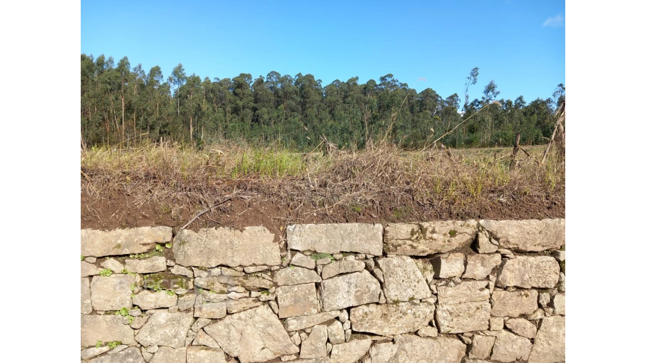 Terreno para Venda em Chorente, Góios, Courel, Pedra Furada e Gueral Foto 7