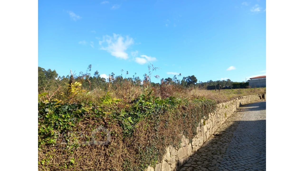Terreno para Venda em Chorente, Góios, Courel, Pedra Furada e Gueral Foto 5