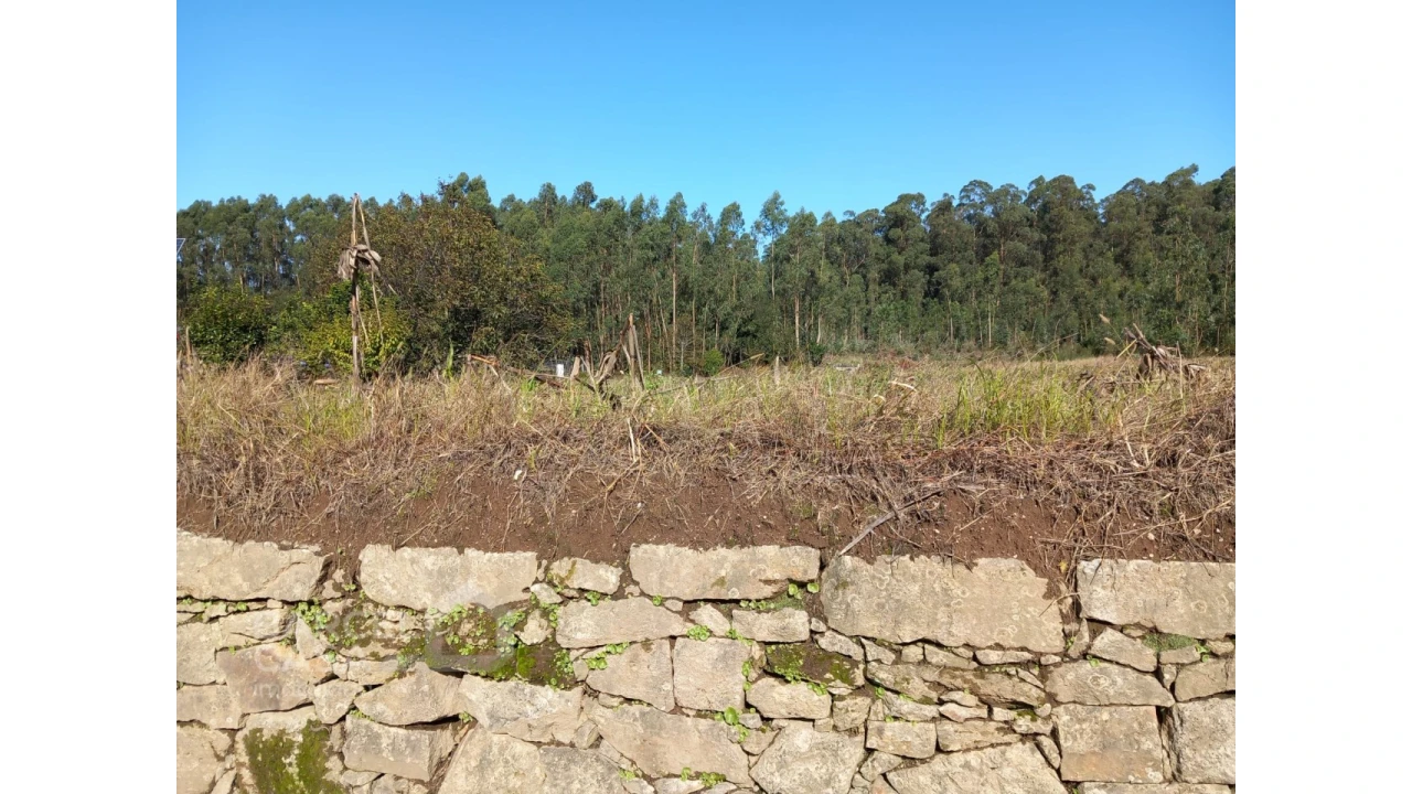 Terreno para Venda em Chorente, Góios, Courel, Pedra Furada e Gueral Foto 8