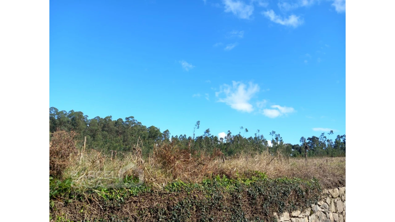 Terreno para Venda em Chorente, Góios, Courel, Pedra Furada e Gueral Foto 2