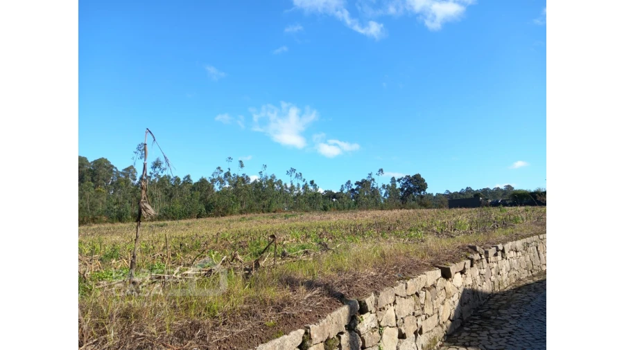 Terreno para Venda em Chorente, Góios, Courel, Pedra Furada e Gueral Foto 1