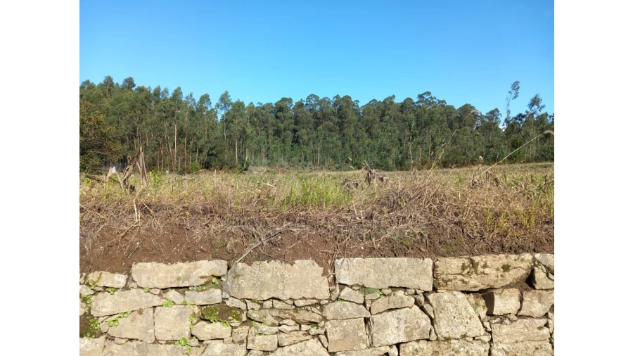 Terreno para Venda em Chorente, Góios, Courel, Pedra Furada e Gueral Foto 6