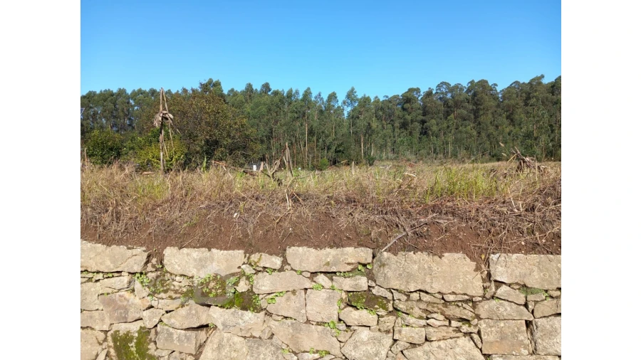 Terreno para Venda em Chorente, Góios, Courel, Pedra Furada e Gueral Foto 8