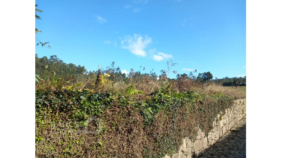 Terreno para Venda em Chorente, Góios, Courel, Pedra Furada e Gueral Foto 3