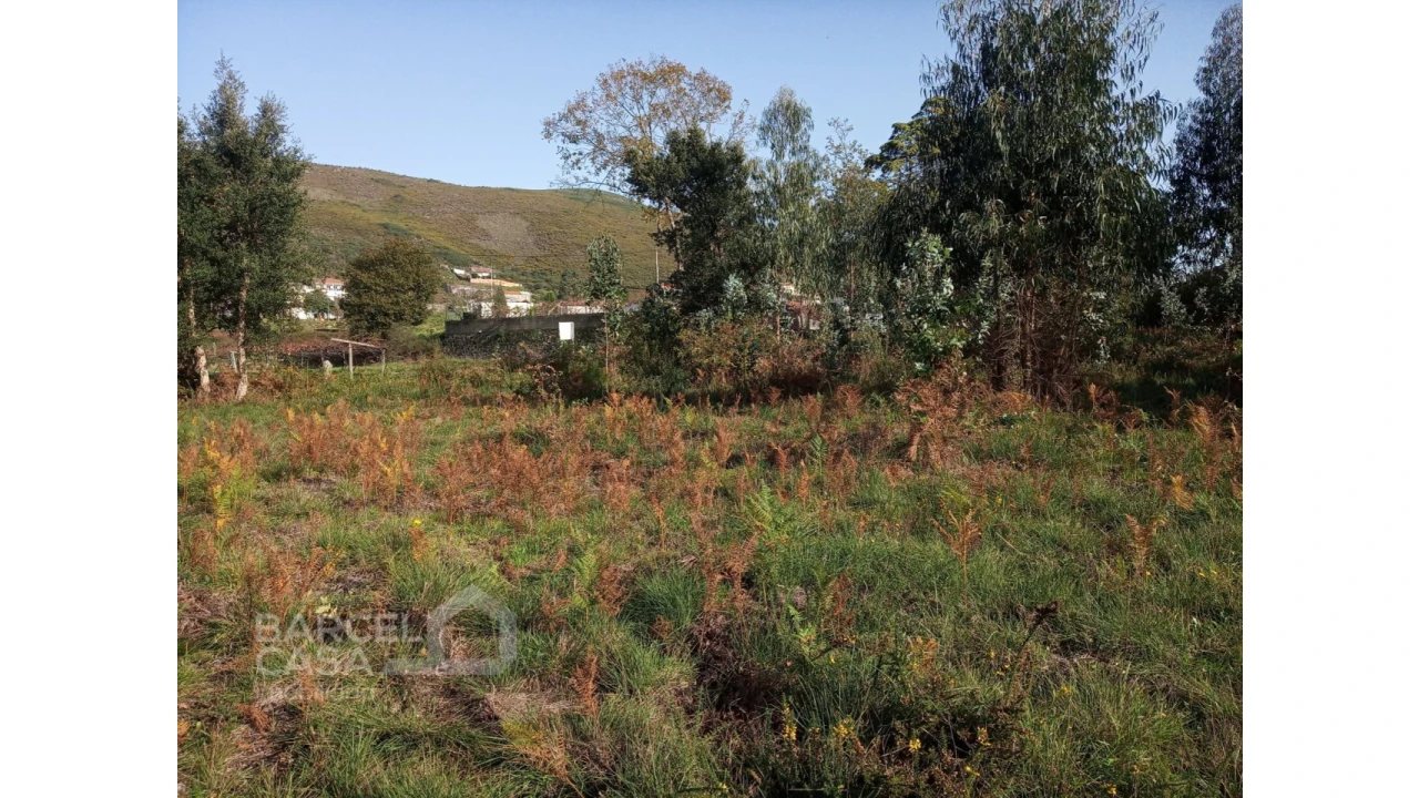 Terreno para Venda em Barroselas e Carvoeiro Foto 12