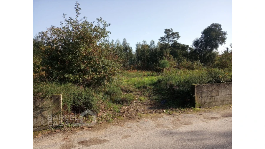 Terreno para Venda em Barroselas e Carvoeiro Foto 11