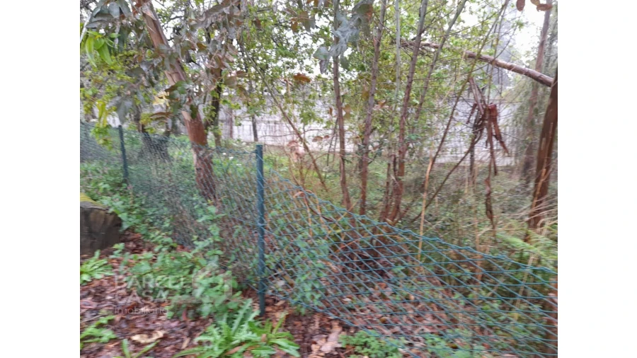 Terreno para Venda em Alvito (São Pedro e São Martinho) e Couto Foto 2
