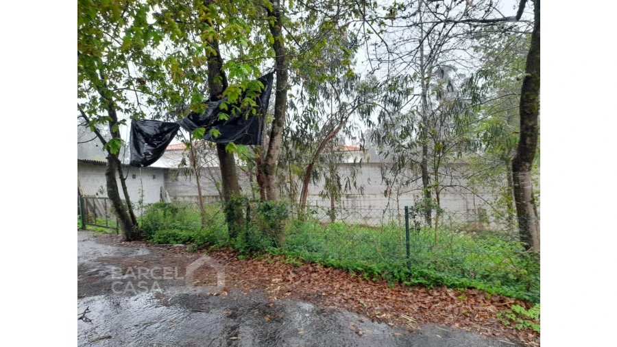 Terreno para Venda em Alvito (São Pedro e São Martinho) e Couto Foto 1