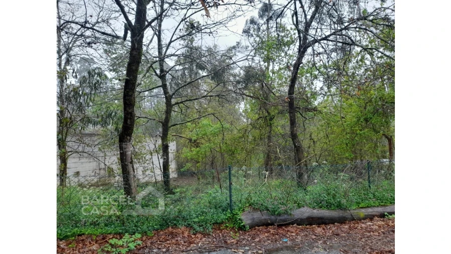 Terreno para Venda em Alvito (São Pedro e São Martinho) e Couto Foto 4