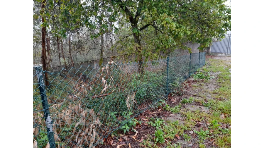 Terreno para Venda em Alvito (São Pedro e São Martinho) e Couto Foto 5