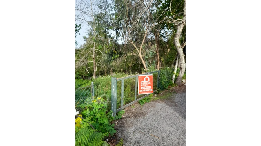 Terreno para Venda em Alvito (São Pedro e São Martinho) e Couto Foto 7