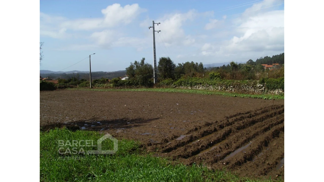 Terreno para Venda em Fragoso Foto 9