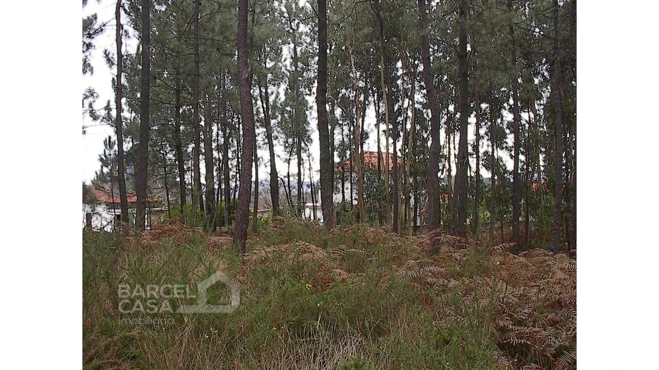 Terreno para Venda em Fragoso Foto 1