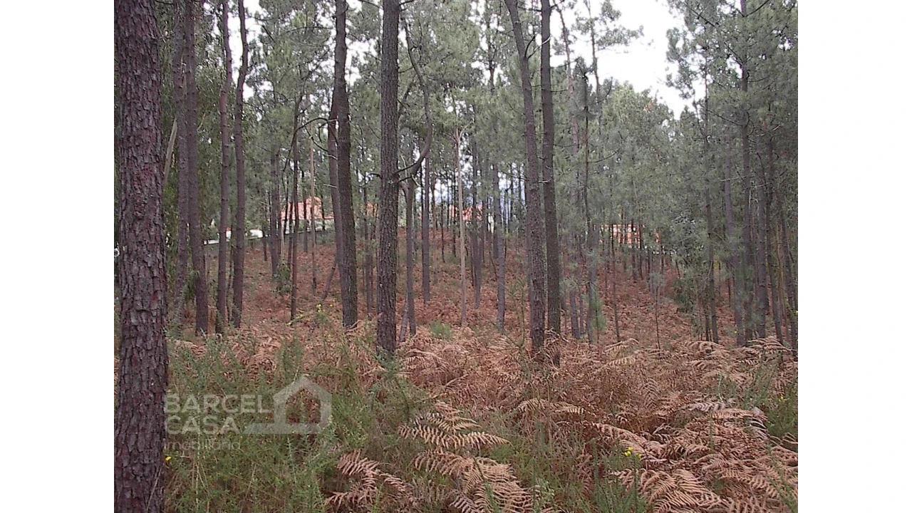 Terreno para Venda em Fragoso Foto 3