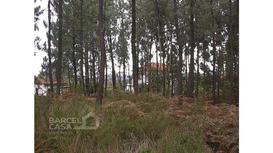 Terreno para Venda em Fragoso Foto 1