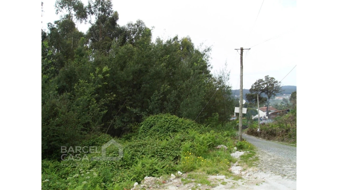 Terreno para Venda em Aldreu Foto 3