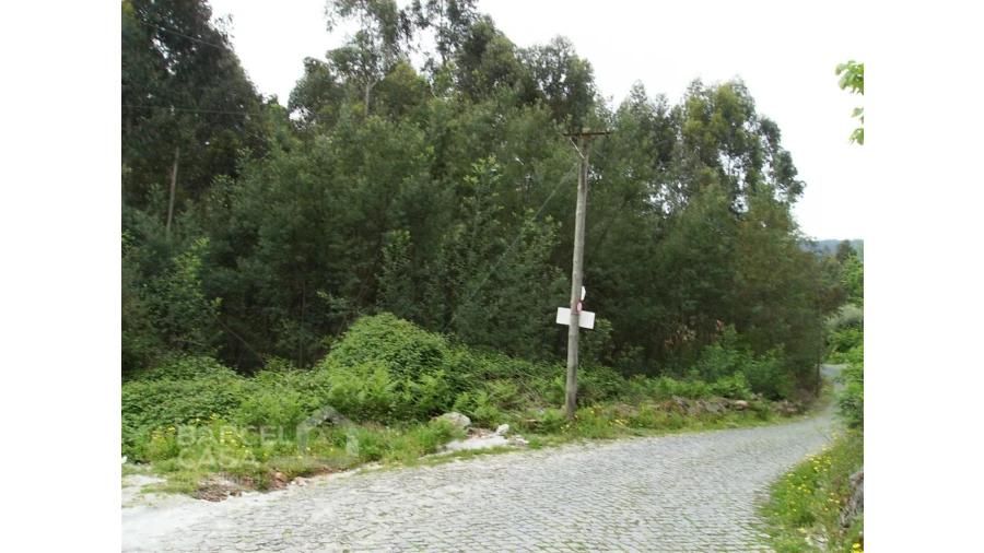 Terreno para Venda em Aldreu Foto 1