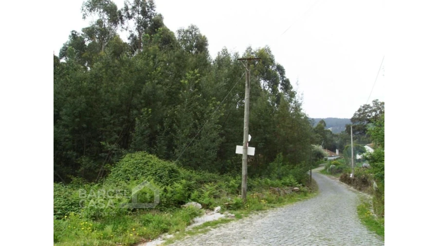 Terreno para Venda em Aldreu Foto 2