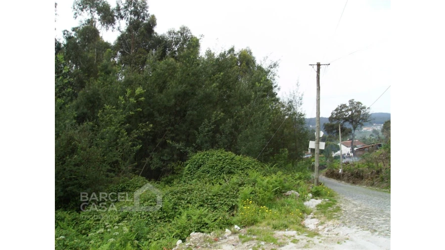 Terreno para Venda em Aldreu Foto 3